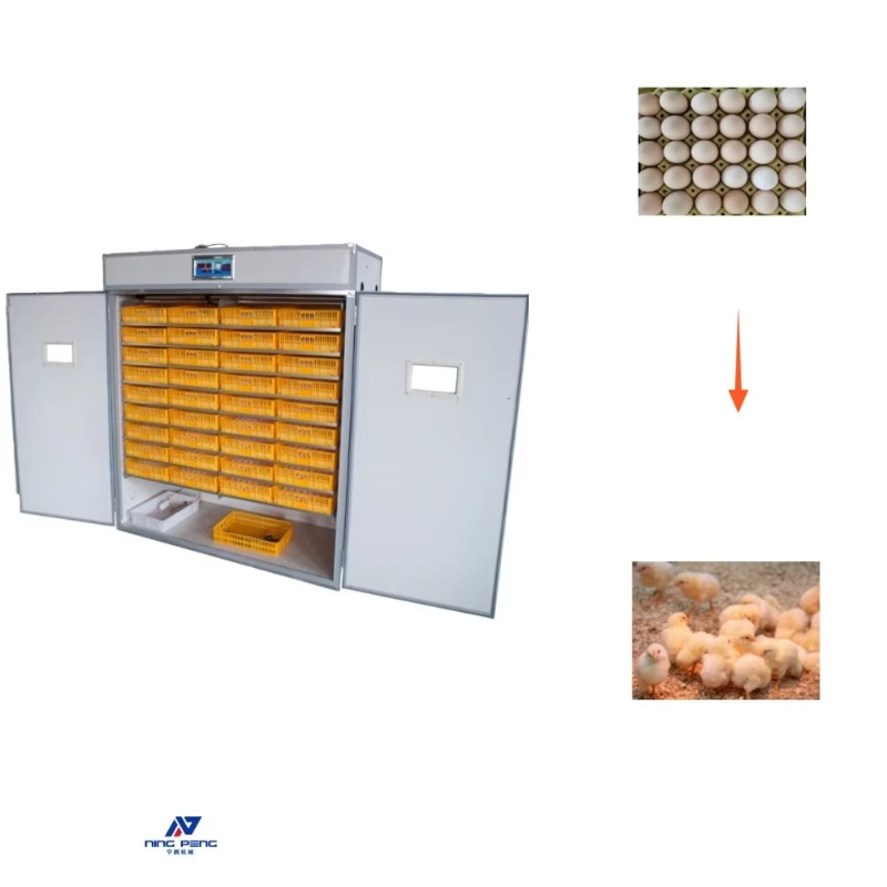 Poultry Incubator - Poultry Egg Incubator Machine Solar Eggs