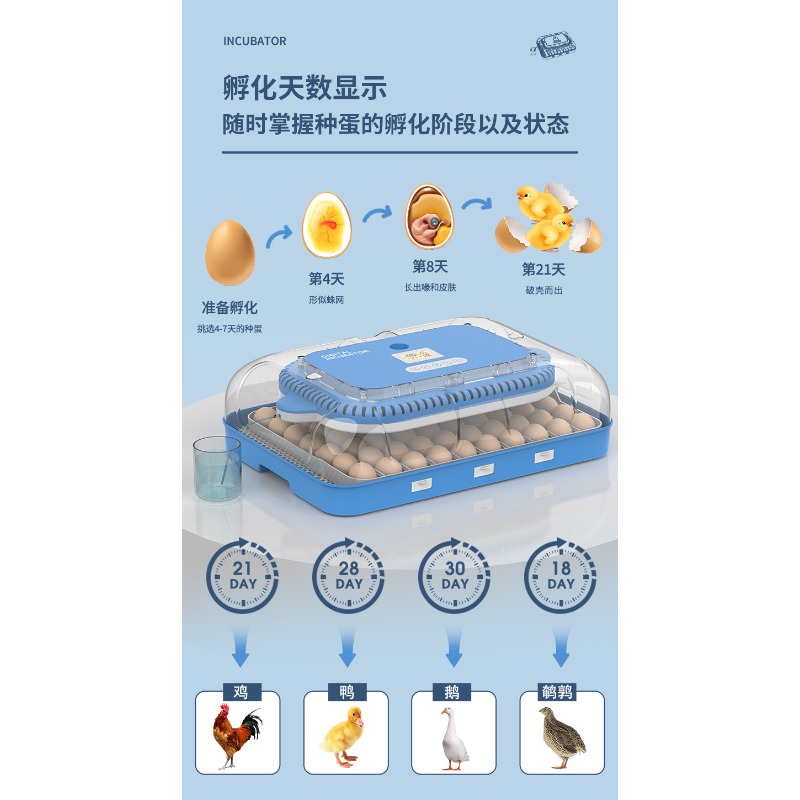 Poultry Incubator - Automatic Egg Incubator Dual Power Supply