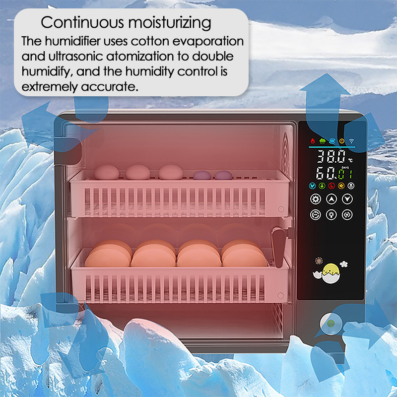 24 Eggs Full Automatic Turning - Poultry Incubator ulasan dan harga