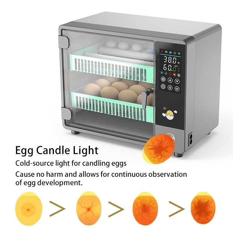 Factory Direct 2026 Fully Auto - Poultry Incubator ulasan dan harga