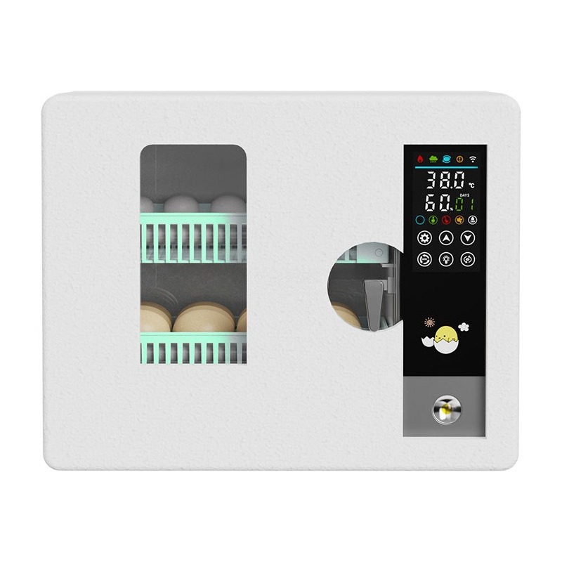 Factory Direct 2026 Fully Auto - Poultry Incubator ulasan dan harga