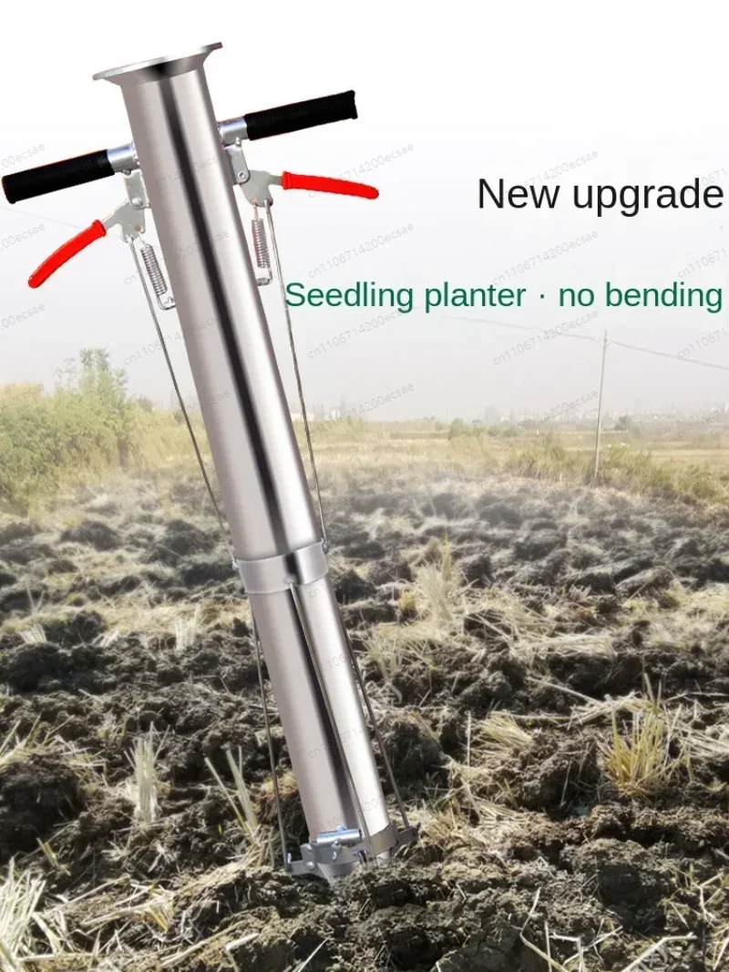 Seedling Transplanter Vegetabl - Vegetable Transplanter ulasan dan harga