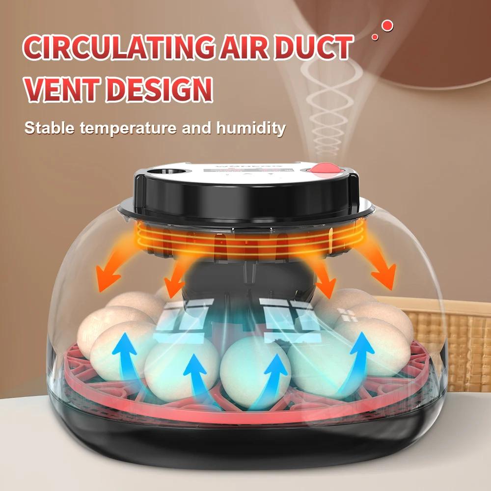 12 Egg Incubator Automatic Tur - Poultry Incubator ulasan dan harga