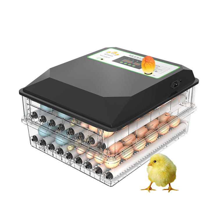 Widely Used Automatic Poultry  - Poultry Incubator ulasan dan harga