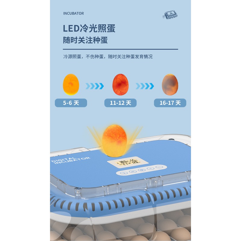 Automatic Egg Incubator Dual P - Poultry Incubator ulasan dan harga