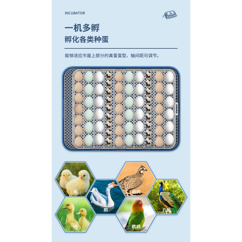 Automatic Egg Incubator Dual P - Poultry Incubator ulasan dan harga