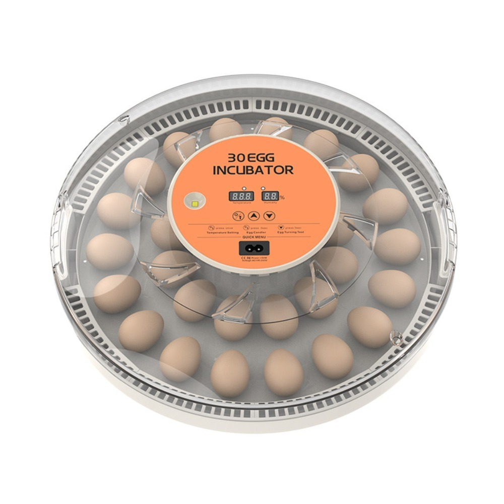 Small Automatic Poultry Incuba - Poultry Incubator ulasan dan harga